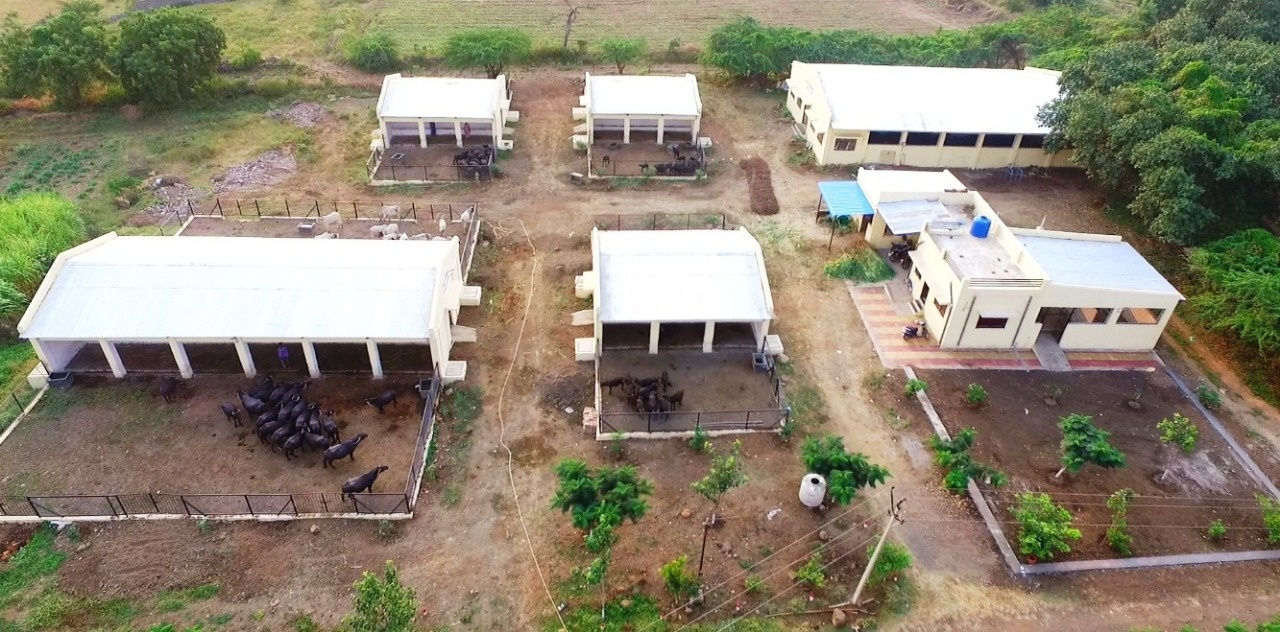 Livestock Farm MAFSU Subcentre Animal Shed3